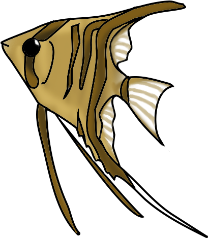 Orange Cat Fish Png - Freshwater Angelfish (439x498)