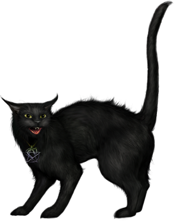 Creepy Black Cat Png Picture - Chat Noir Halloween Gif (650x783)