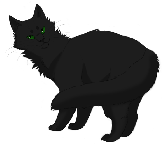 Forever Warriors Cats Fan Art - Warrior Cats Hollyleaf (558x529)