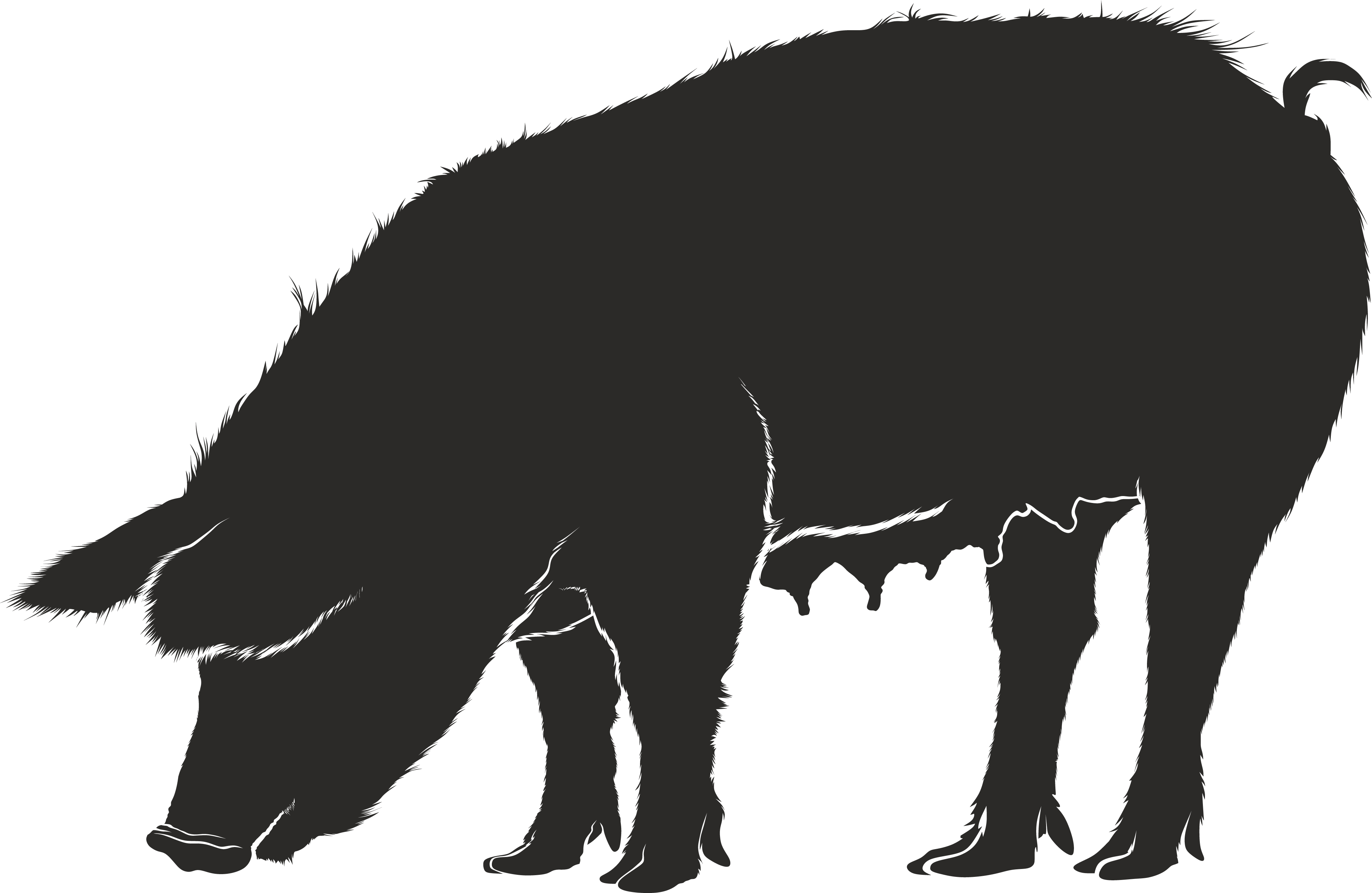 Free Clipart Of A Hog - Pig Silhouette Vector (4000x2603)