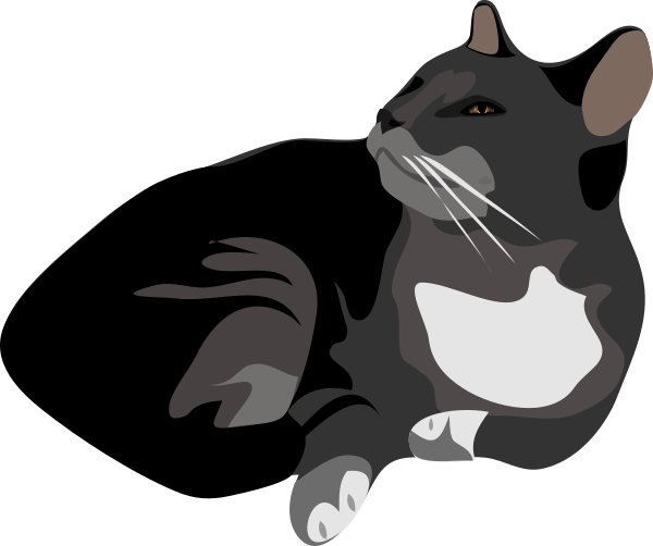 Cat Clip Art At Clker - Cat Clip Art (600x502)