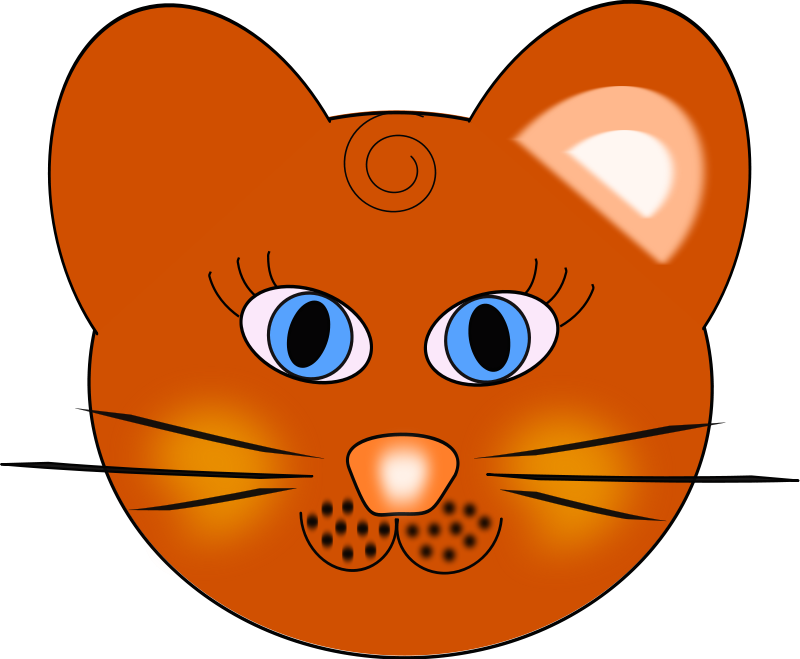 Cat Free Vector - Cat (800x659)