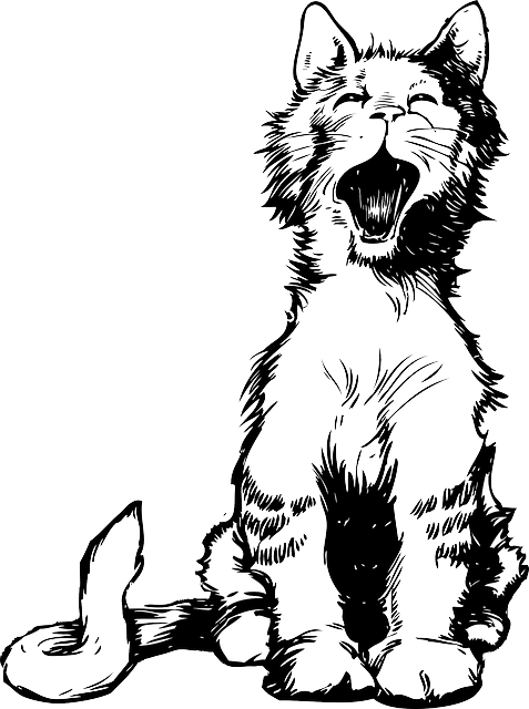 Cat, Cartoon, Mammals, Cats, Meow, Meowing - Cats Meowing Clipart Black And White (477x640)