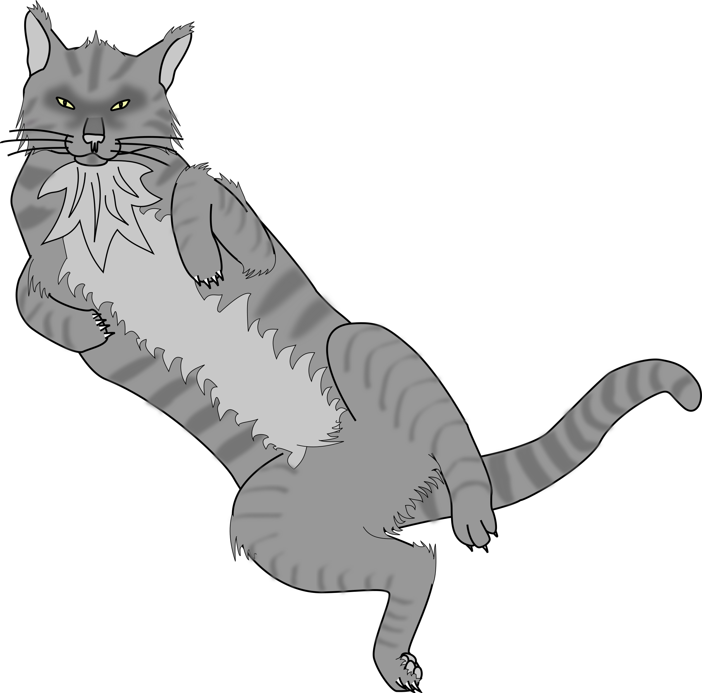 Cat, Old, Gray, Cute, Pet, Tail, Back, Animal, - Cartoon Cat Lying On Back (2400x2368)