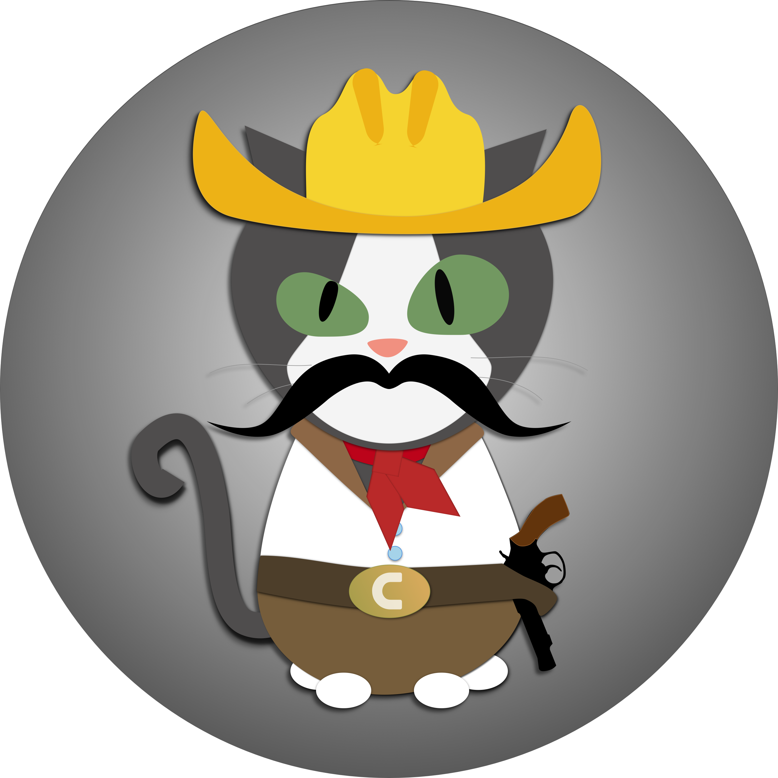 Vader Cat - " - Portrait Of A Man (2710x2710)