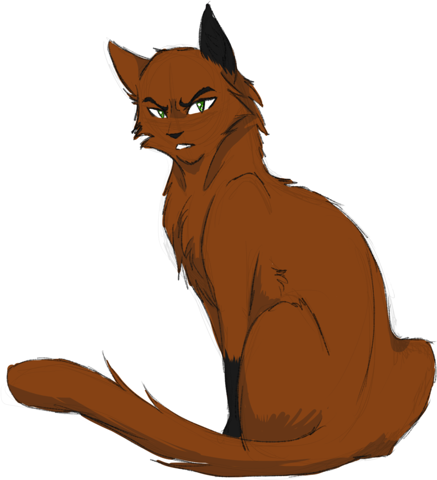 Sparrowflight By On @deviantart - Tom Warrior Cats (1024x1024)