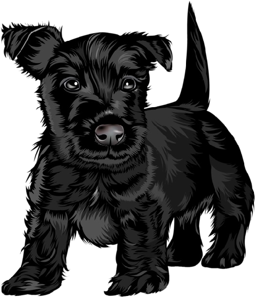 Black Dog Clipart - Black Scottish Terrier Dog Pillow (600x600)