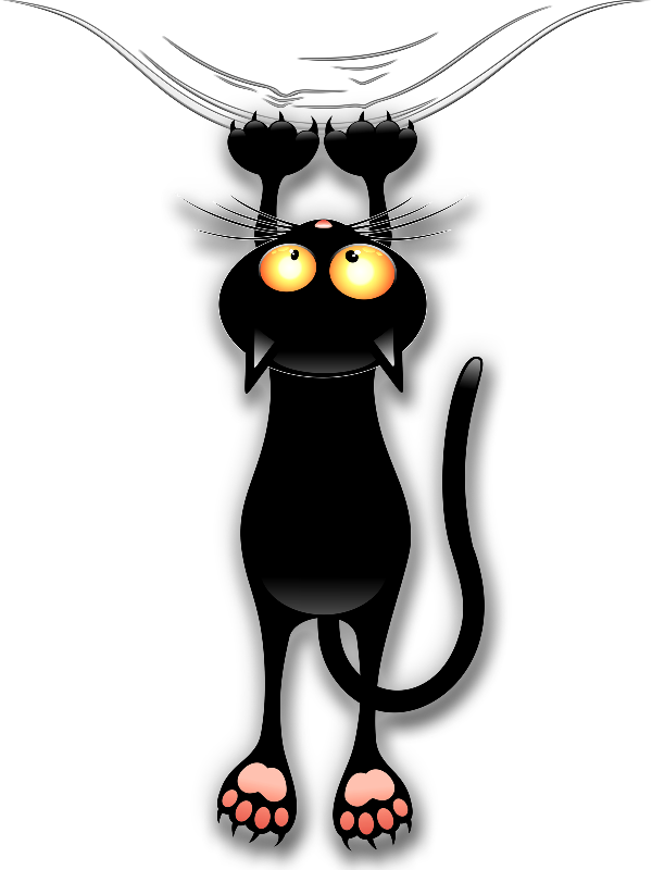 Fun Black Cat Falling - Fun Black Cat Falling Down Area Rug (600x800)