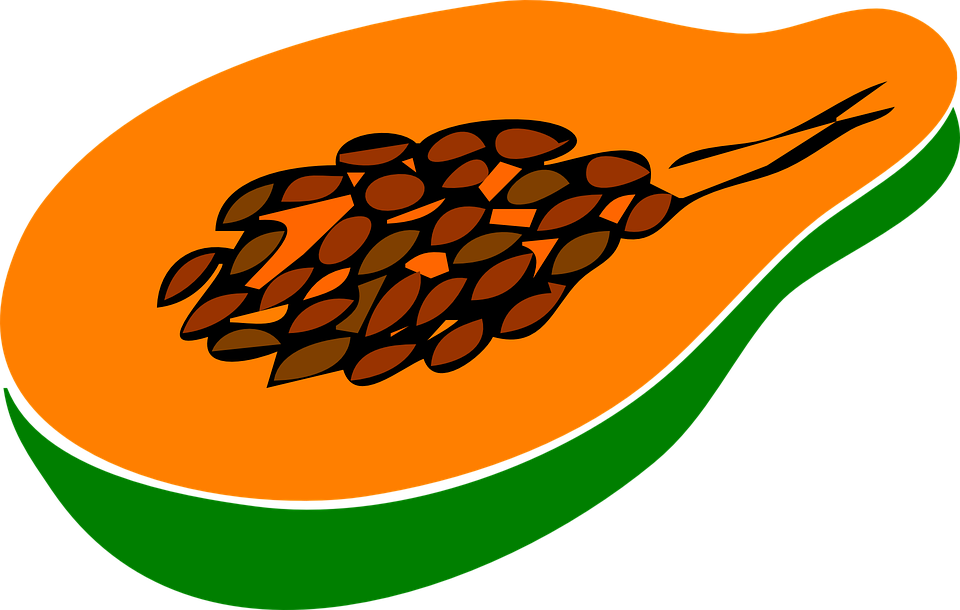 Orange Clipart Papaya - Papaya Clipart Png (960x610)