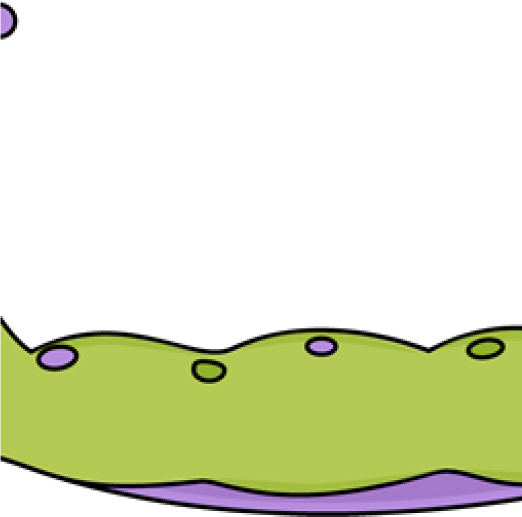 Caterpillar Clipart Caterpillar Clip Art Caterpillar - Caterpillar Clipart Caterpillar Clip Art Caterpillar (1024x1024)