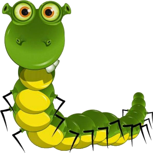 Cute Caterpillar Insect Images For Your Own Personal - Caterpillar Ugly (500x500)