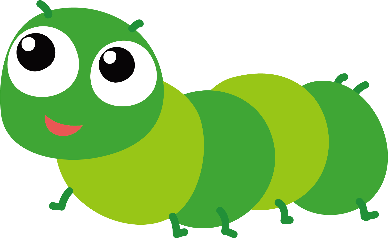 Cartoon Caterpillars - Caterpillar Transparent Cartoon (1601x982)