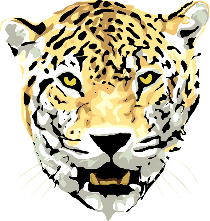 Jaguar Clipart Fierce - Leopard Clipart Png (1215x1280)