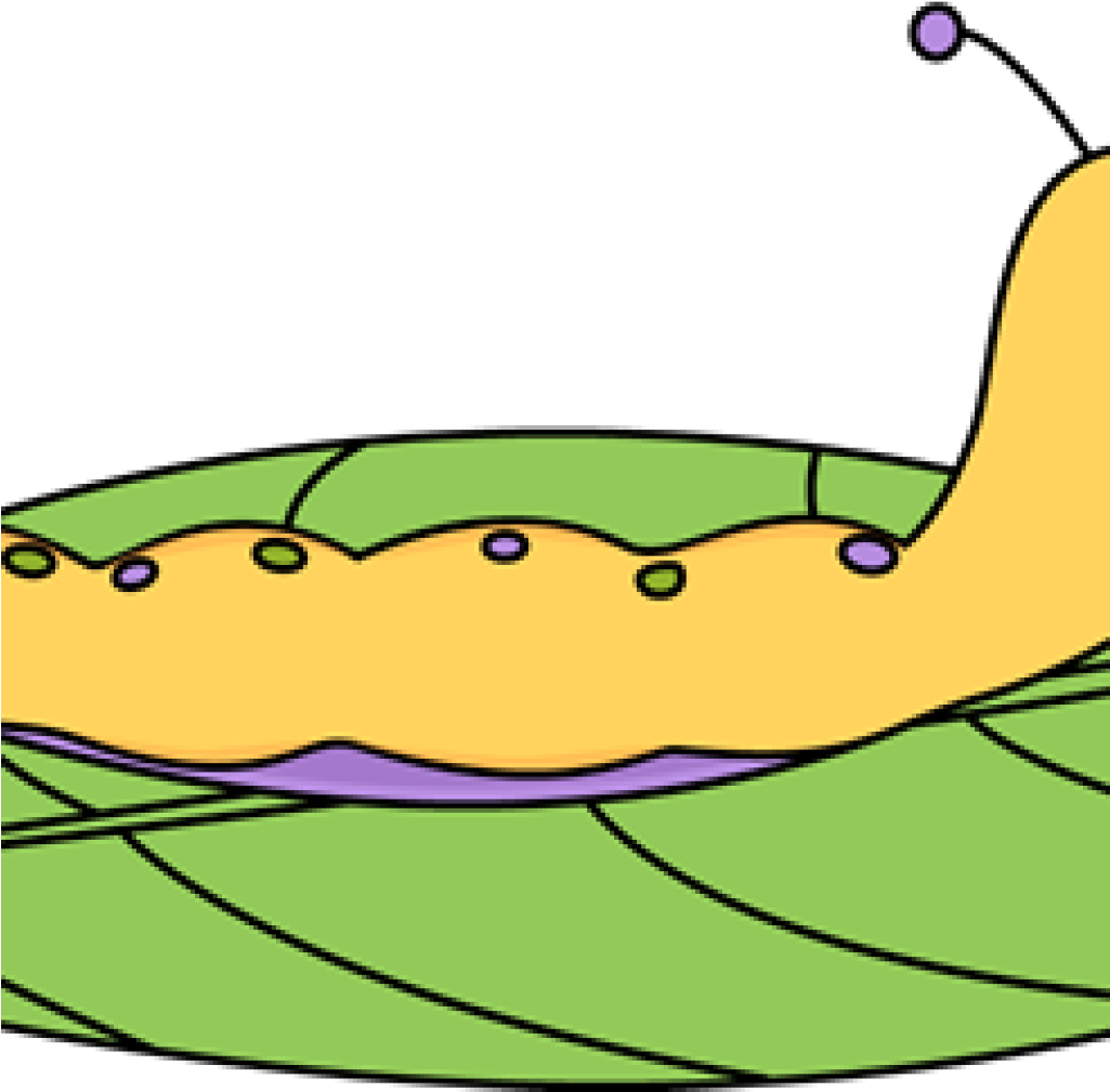 Caterpillar Clipart Caterpillar Clip Art Caterpillar - Clip Art (1024x1024)
