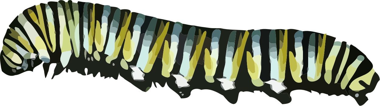 Caterpillar Png Photos - Caterpillar Png (2674x750)