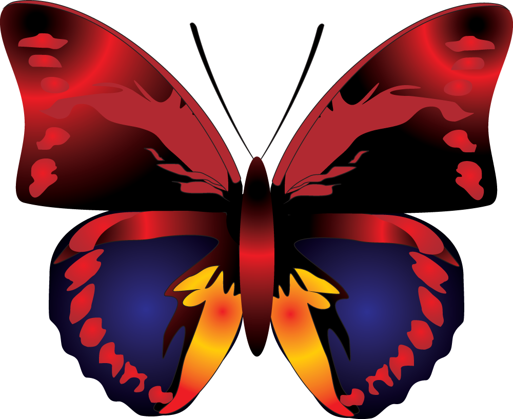 Butterfly Png Image - Red Butterfly Clip Art (1000x817)