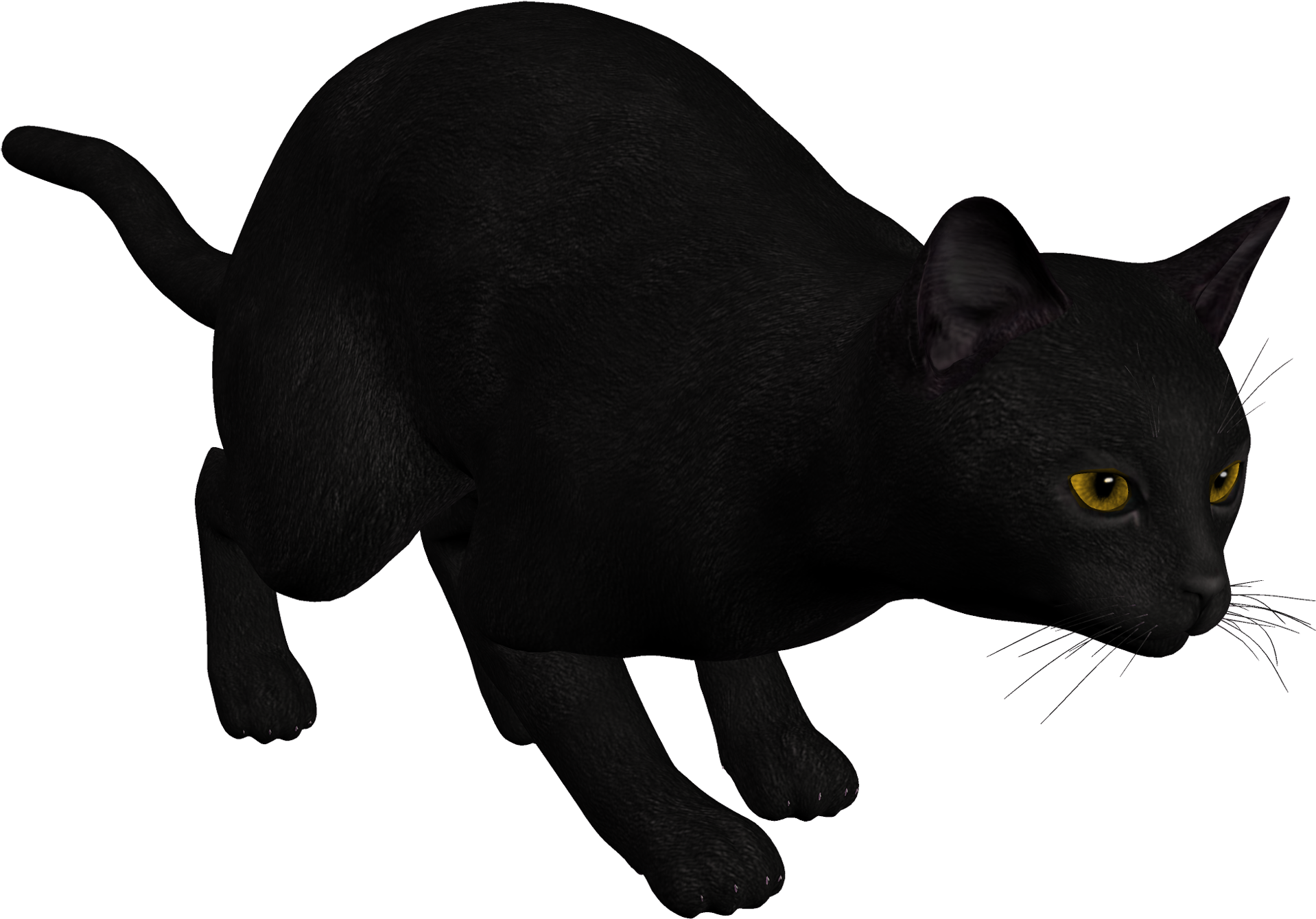 Cat Black Png Clipart - Black Cat (2000x1402)