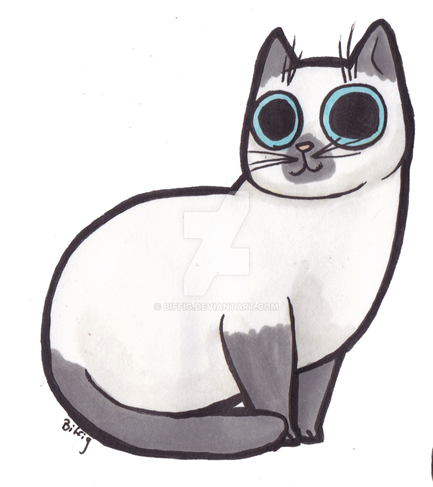 Smol Fat Grey White Cat By Biffig - Transparent Cat Grey And White (842x948)