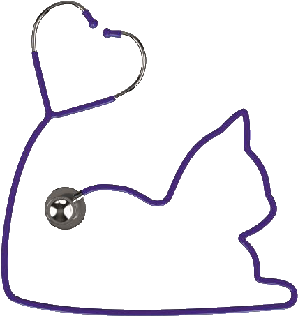 Routine Examinations Are The Mainstay Of Keeping Your - Routine Examinations Are The Mainstay Of Keeping Your (442x459)