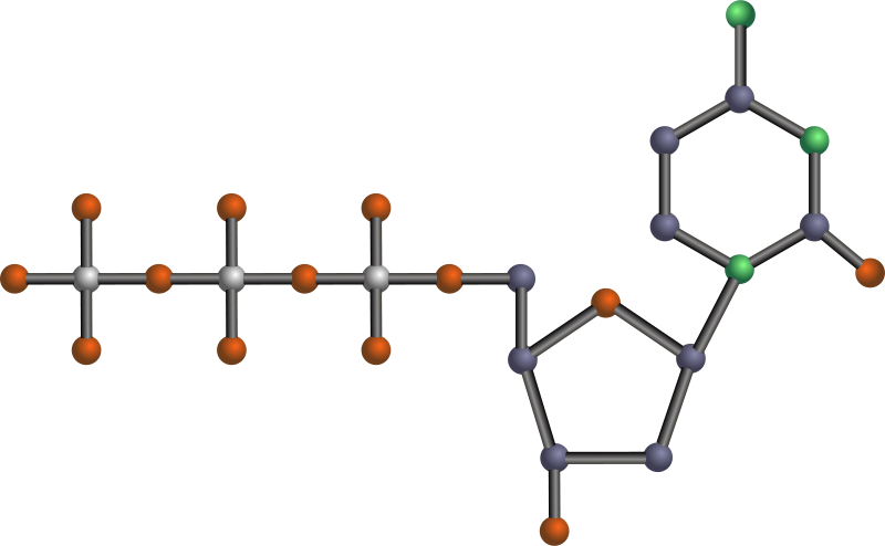 Cat, Lucky, Beckoning - Atp Vector (800x494)