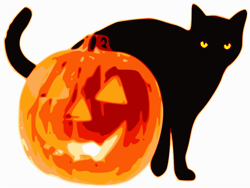 Cat And Jack O Lantern - Cafepress Halloween Black Cat And Pumpkin Throw Pillow (800x800)