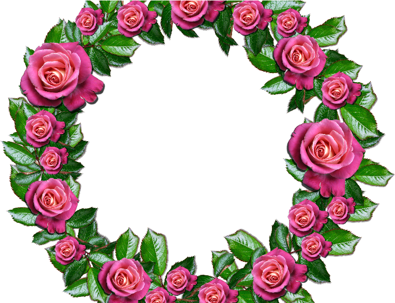 Floral Wreath Png With Pink Roses And Leafs - Roses Wreath Png (800x600)