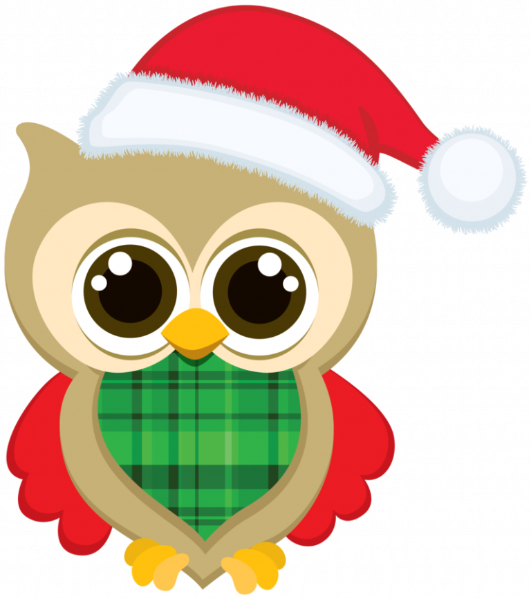 Clipart Christmas Owls Christmas Owl Clip Art Bellas - Cute Owl Christmas Clip Art (768x866)