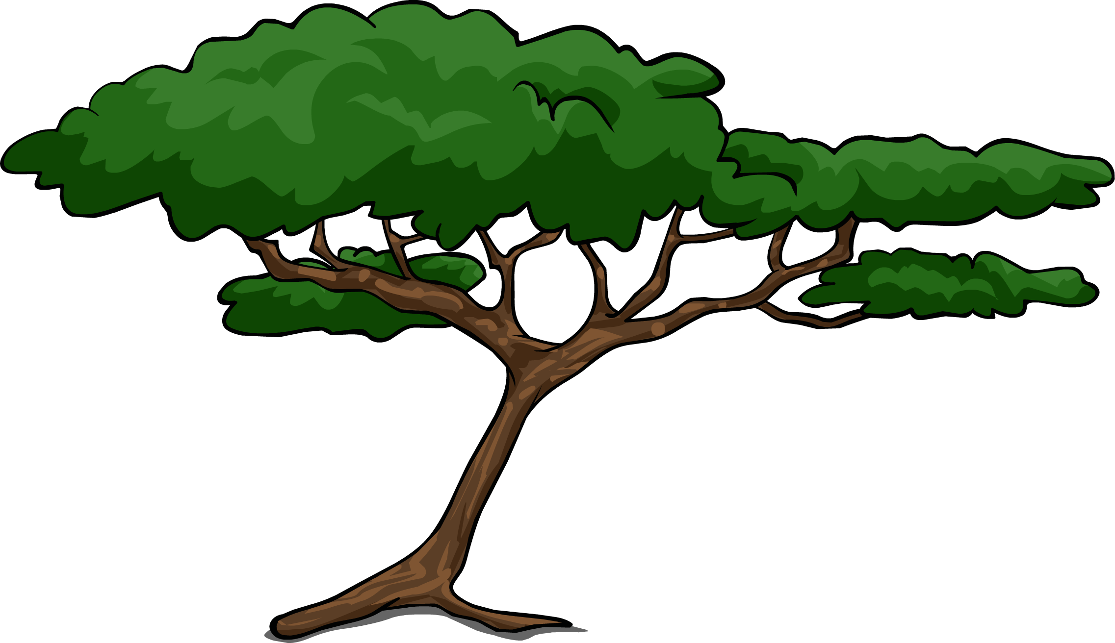 Clipart African Tree Trees - Clip Art Acacia Tree (2273x1312)