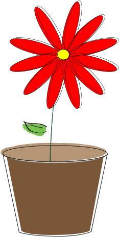 Flower - Flowerpot (958x750)