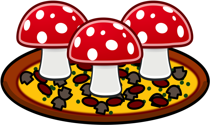 Mushroom-pizza - Mushroom (800x490)