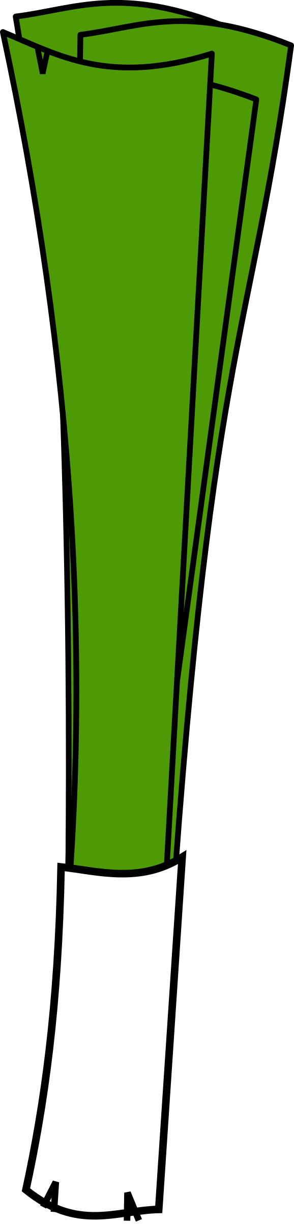 Leek Clipart 3 - Leek Clipart 3 (578x2400)