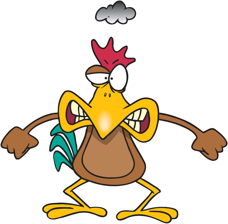 And Then Mad Chicken - Chicken Clip Art (800x787)