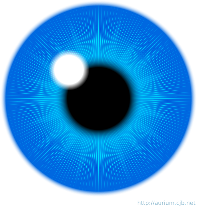 Free Vector Blue Eye Iris Clip Art - Eye Iris Vector (689x720)