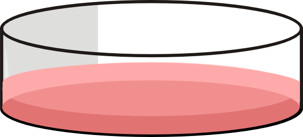 Petri Dish Cell Culture (600x273)