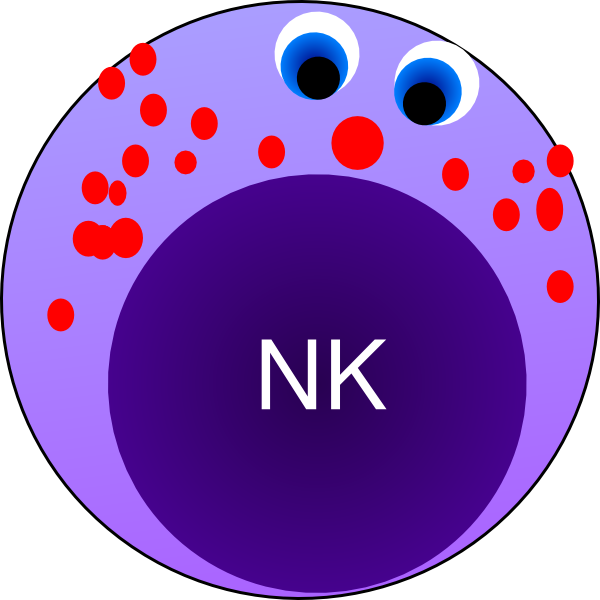 Nk Cell Clip Art - Natural Killer Cells Clipart (600x600)