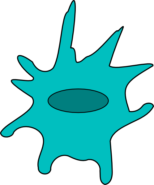 Dendritic Cell Blue Clip Art - Scalable Vector Graphics (498x598)