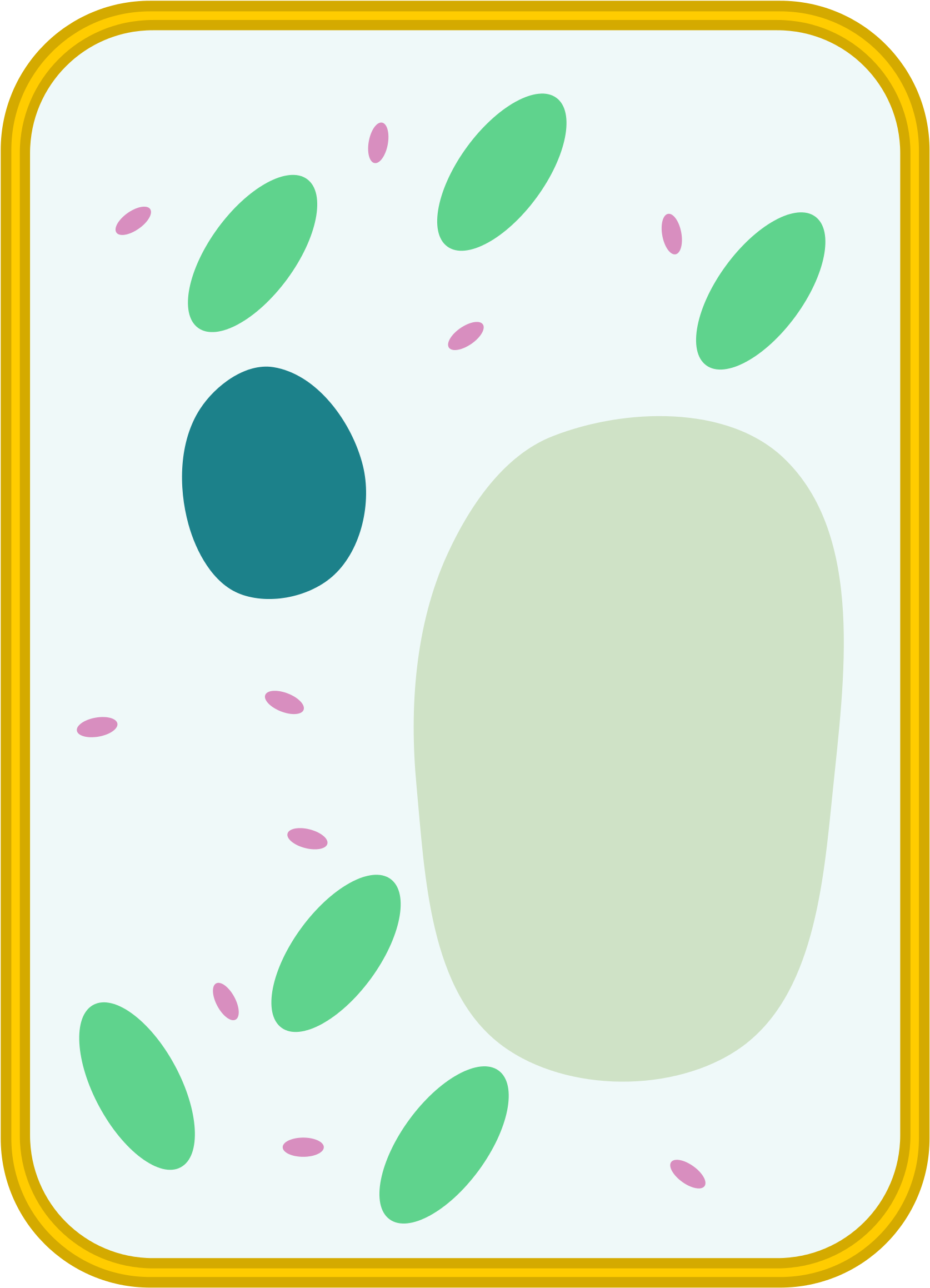 Simple Cell Diagram - Simple Blank Plant Cell Diagram (2000x2641)