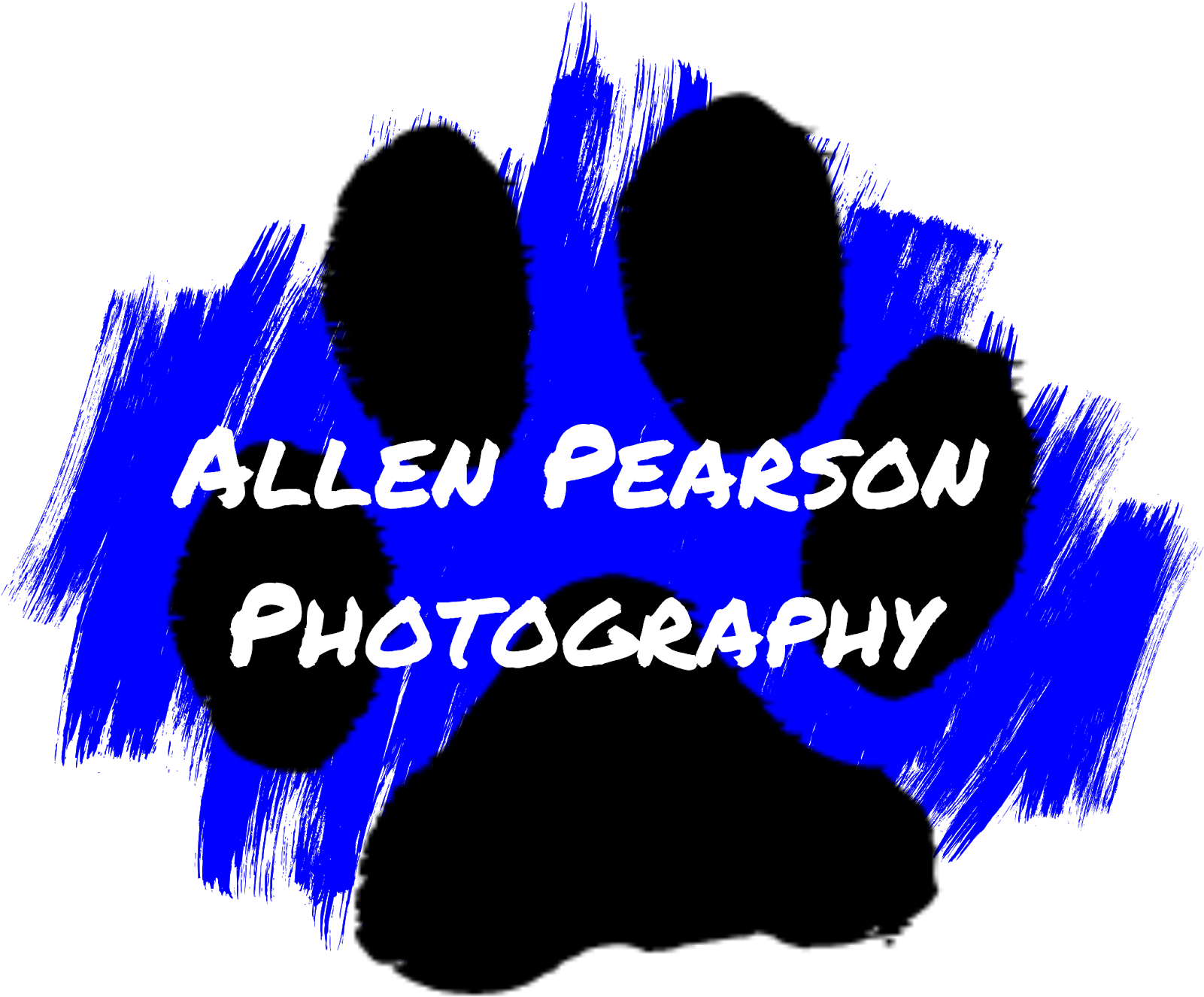 "in Thought " Allen Pearson Photography - Graphic Design (1600x1600)