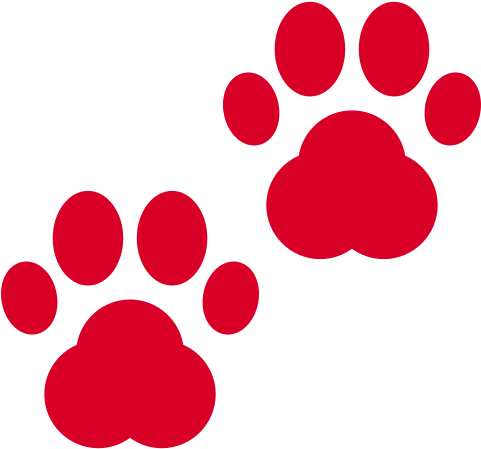 Recent Posts - Instagram Highlight Cover Dog (480x480)