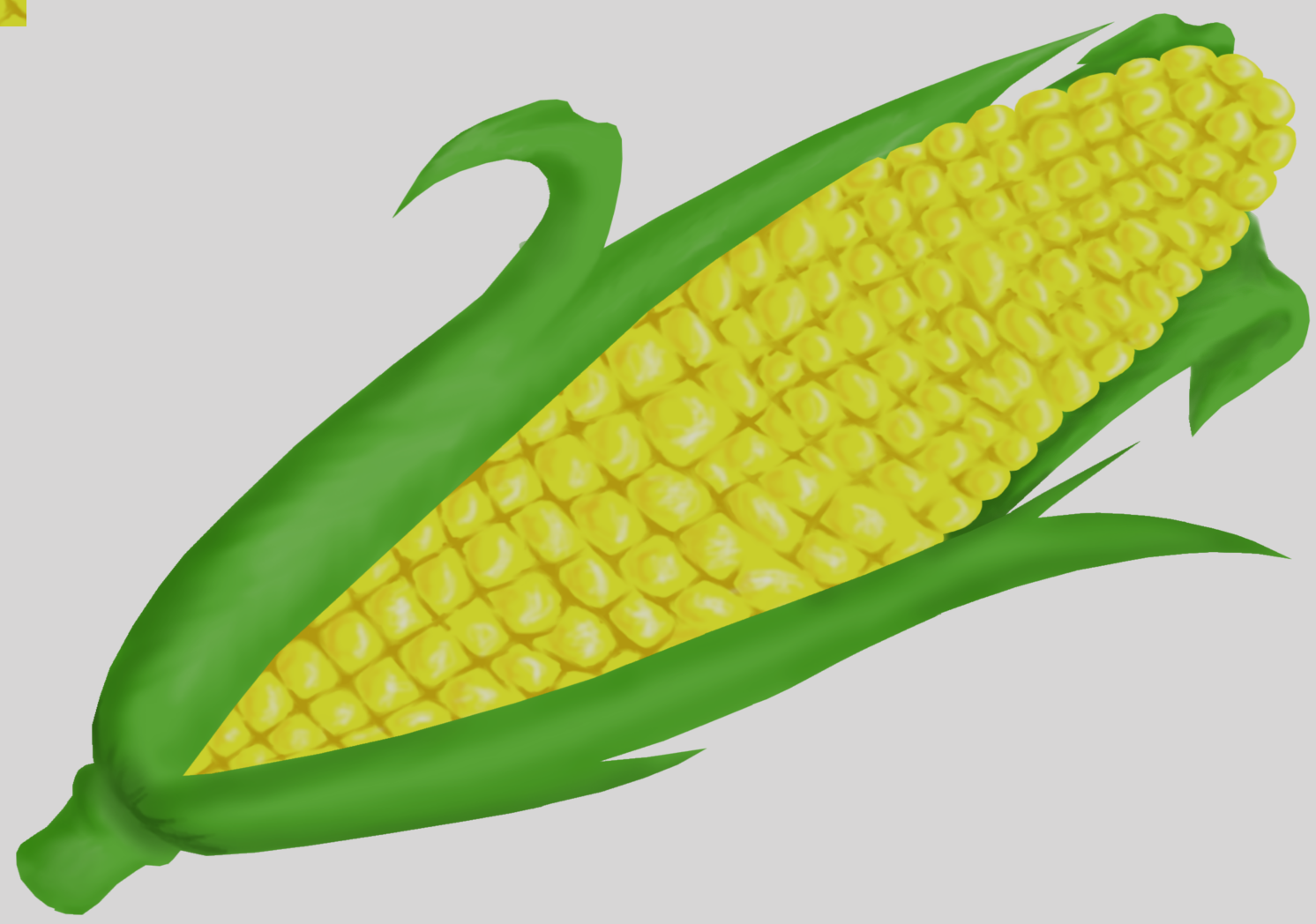 Corn On The Cob Clip Art (1492x1048)