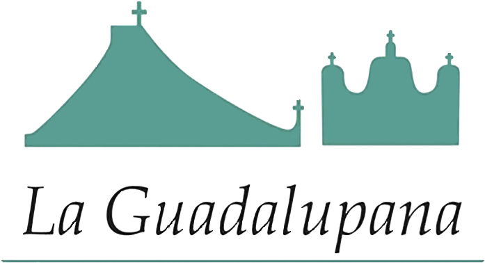 Art&iacute - Culos Religiosos - La Guadalupana - Art&iacute - Culos Religiosos - La Guadalupana (720x405)