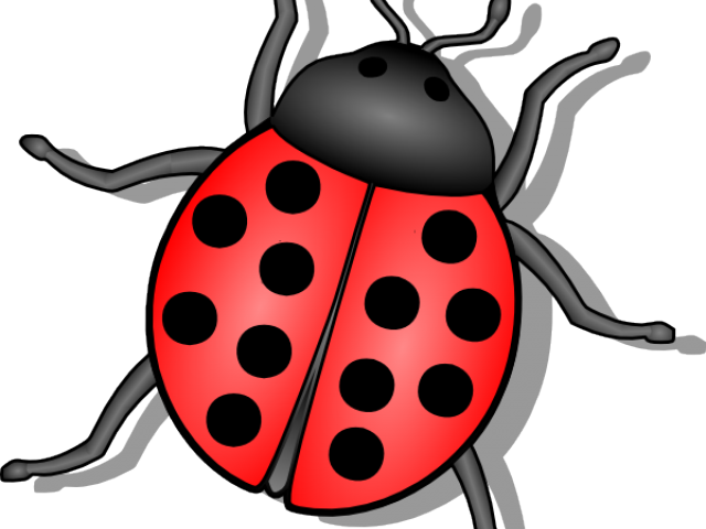 Beetle Clipart Animated - Spring Ladybug Clipart Black And White (640x480)