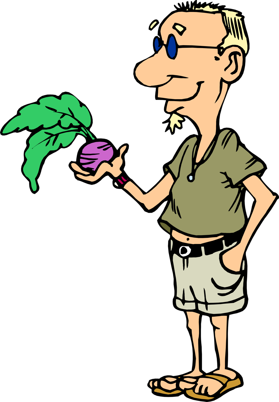 Turnip Pictures Clip Art - Turnip Pictures Clip Art (887x1280)