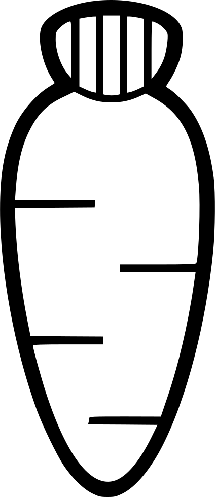 Turnip Png - Circle (424x980)