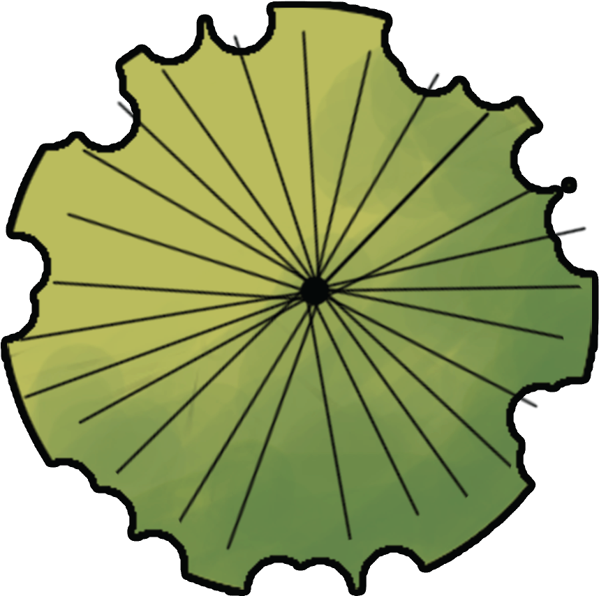 Things I Wish I Knew During Architecture School - Architectural Tree Plan Png (900x900)