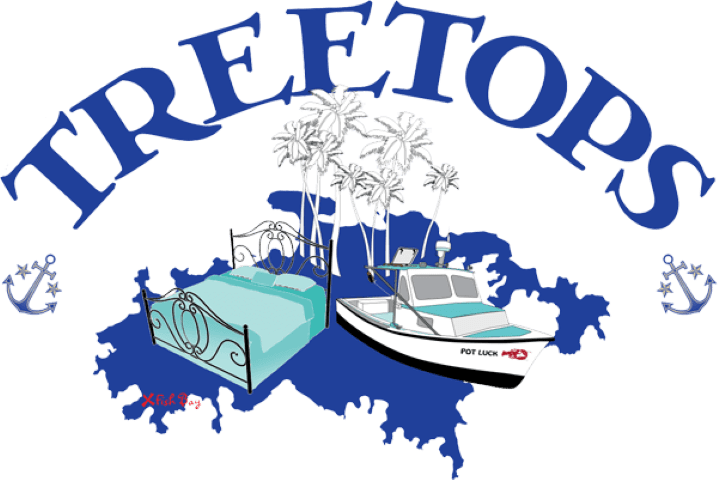 Treetops - St John Strong Usvi (718x480)