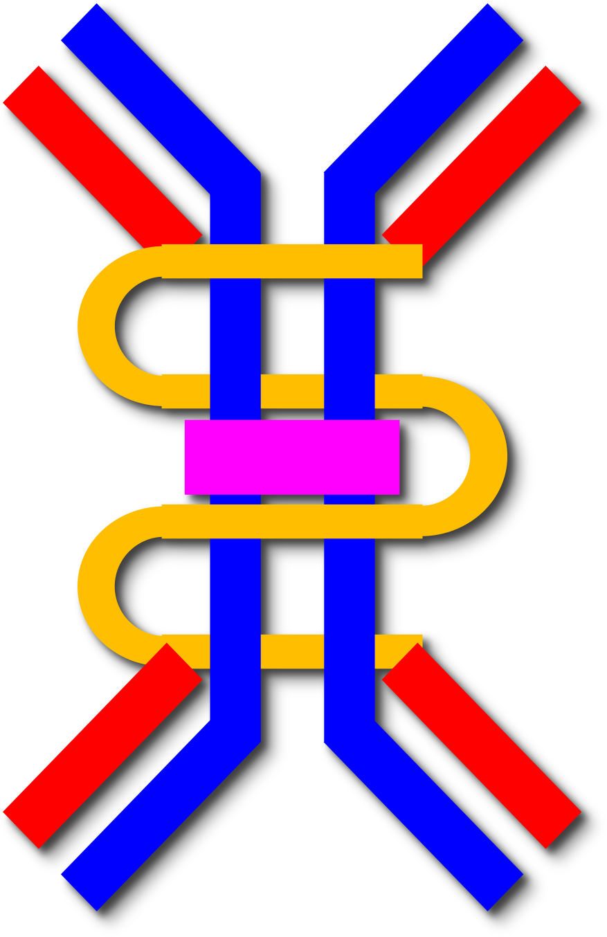 Iga Nephropathy - Wikipedia - Iga Antibody Clipart (1200x1697)