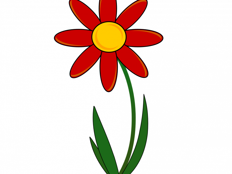 Download Red Flower Clipart - Animated Picture Of A Flower (800x600)