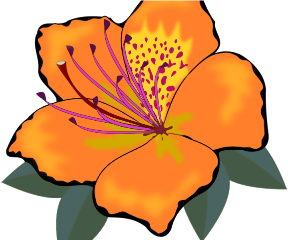 Orange Flower Clipart One Flower - Orange Flower Clipart One Flower (640x480)