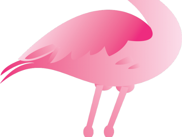 Flamingo Clipart Cool - Flamenco Animados (640x480)